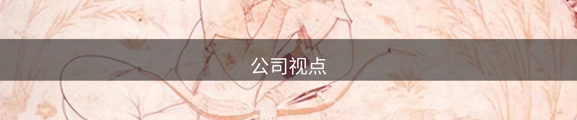 公司视点