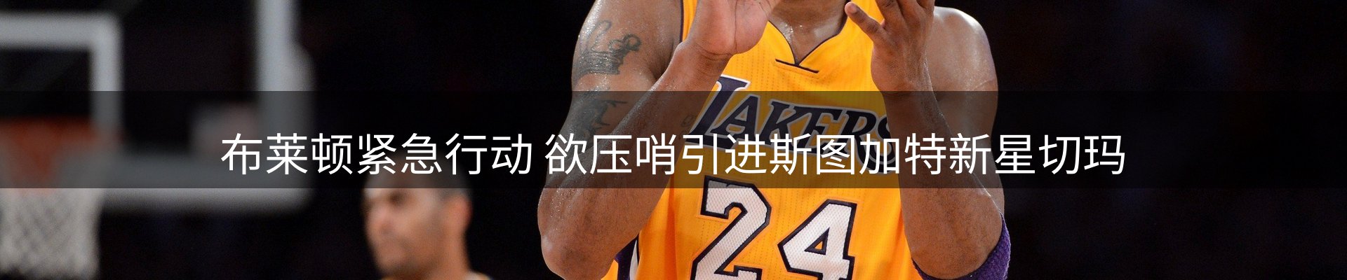 公司视点